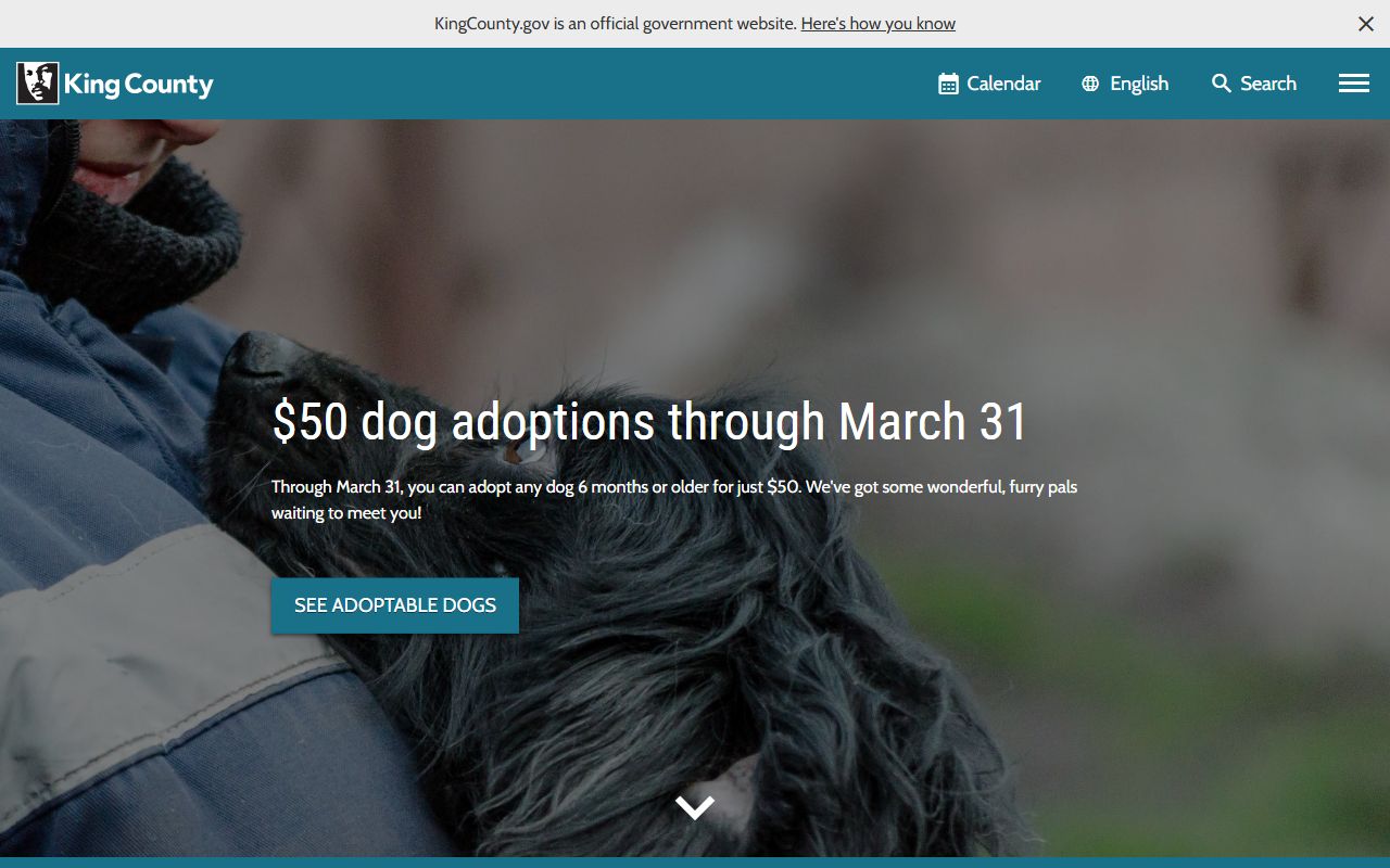 King County Traffic Court Records at the district court location